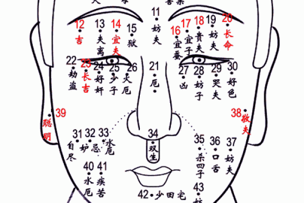 男人面相中的痣如何影响运势与性格