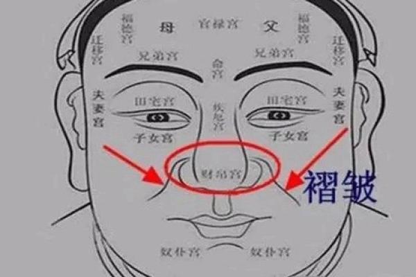 如何通过肉鼻子面相判断一个人的财运