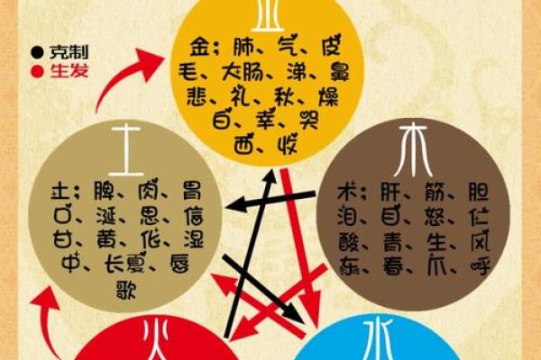 五行相生相克关系解析及应用指南