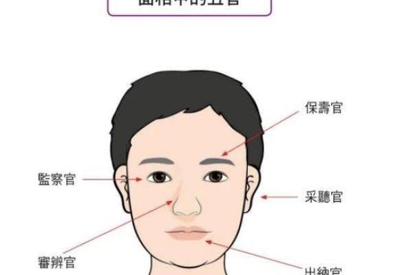 眼睛面相解析：从眼睛看性格与命运的奥秘