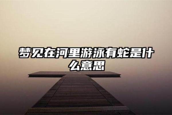 梦见蛇对男人意味着什么？解读不同情境