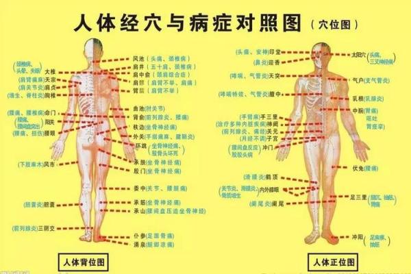 五行养生的智慧与实践：调和五脏平衡健康的关键