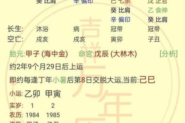 探索命理学中的生辰八字与运程变化