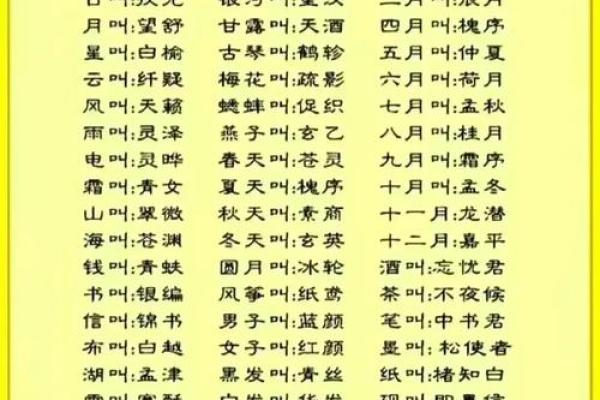 八字入门：如何解读自己的命运密码