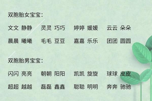 双胞胎宝宝起名宝典：独特与和谐并存的最佳选择