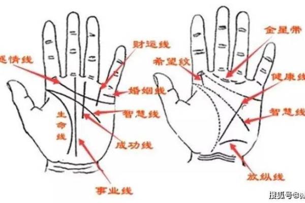 手相纹路详解：掌握这些纹路能预示你的未来运势