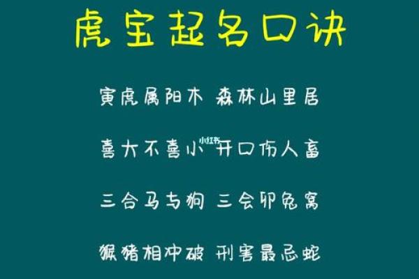 为虎宝宝起名：激发孩子未来潜力的名字选择方法