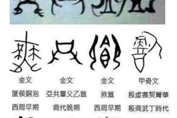 晞字五行属性解析及其相关意义