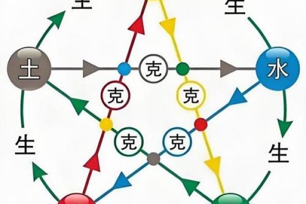 筱字的五行属性解析及其命理意义