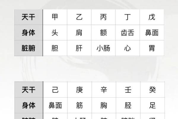 筱字的五行属性解析及其命理意义