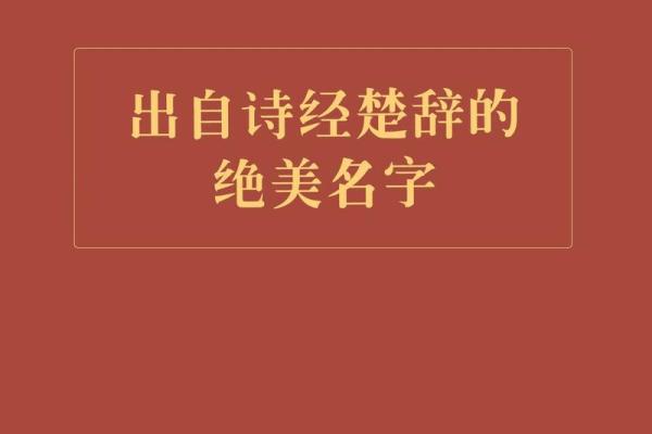 用圣经中的智慧为宝宝选择一个独特名字