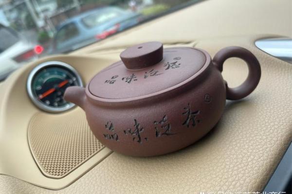 从茶树到茶杯：福建茶文化的全程体验