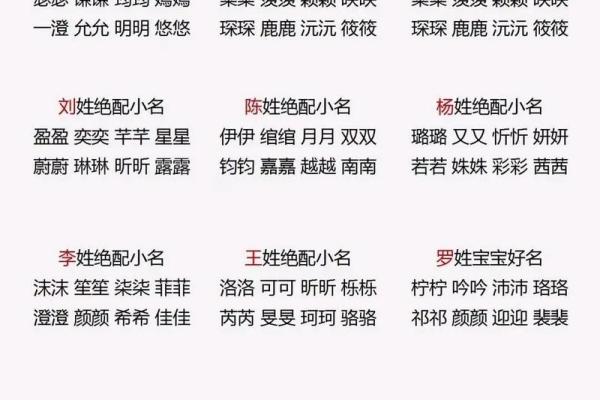 如何通过宝宝起名软件找到完美名字