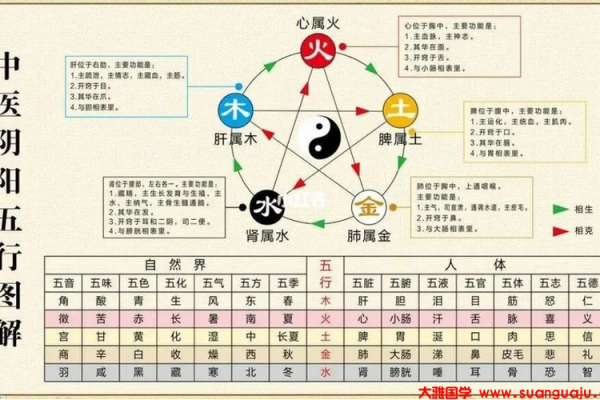 生辰八字与五行分析：如何通过八字了解命运走势