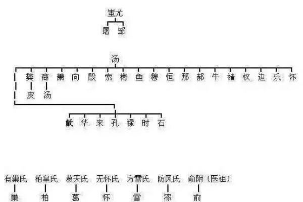 从姓氏看中国历史与族群的演变