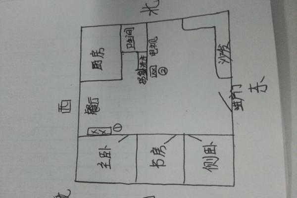 如何利用鱼缸风水改善办公室的气场与运气