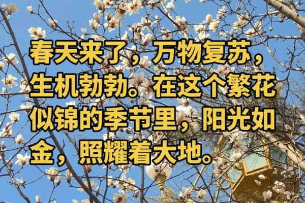 三月的节日安排：与你一起迎接春天的到来