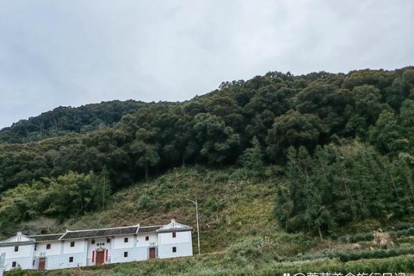 孙莉的命理特征与人生起伏的深层关系