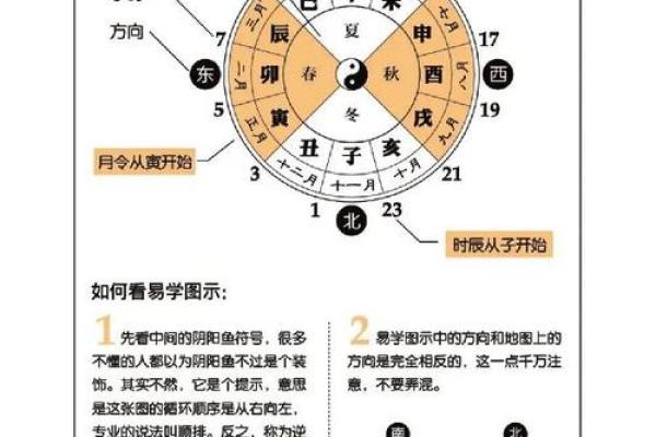 生辰八字与姓名的命运解析：如何通过命理学预测人生走向