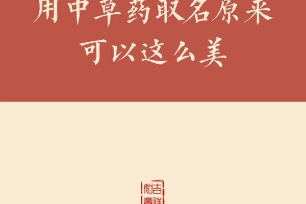 中药材公司起名的关键要素与实例分享