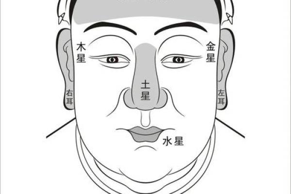 肉鼻子面相解读：运气与健康的关系