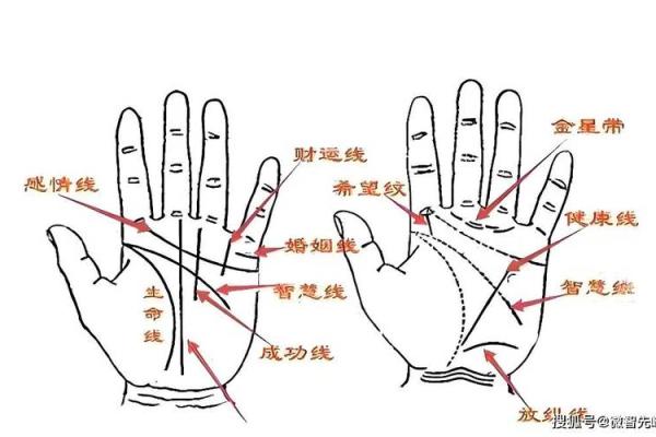 手相测试入门：如何通过掌纹了解自己的命运