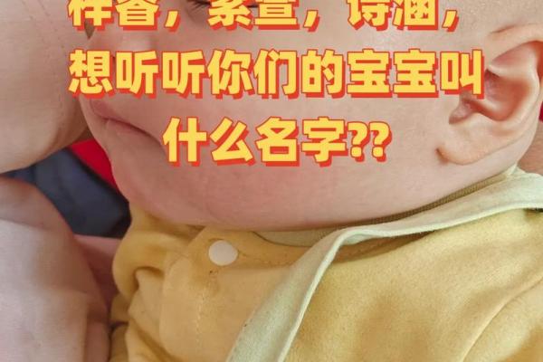 一站式宝宝起名字服务：让网站帮你选出完美名字