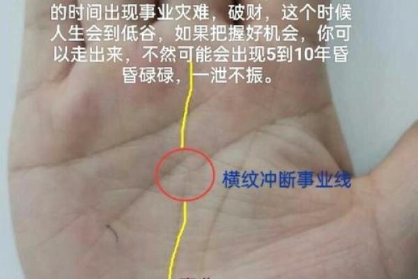 通过事业线看职业发展：手相中的成功密码