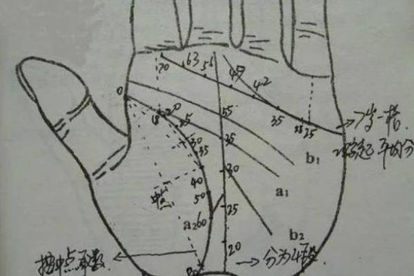 手相解析：掌中玄机揭示你的生活与职业方向