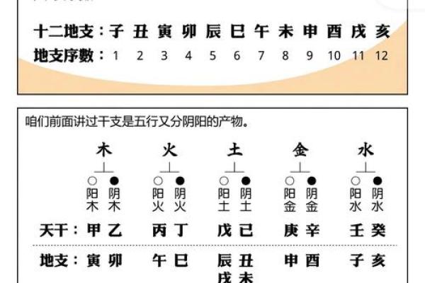 天干地支解析与生肖命理解读