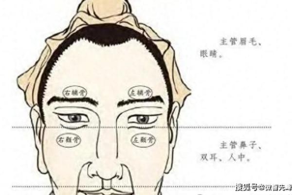 男人面相解析：如何从面部特征看性格与命运