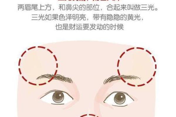 钟汉良面相的奥秘：如何通过面部特征理解他的成功