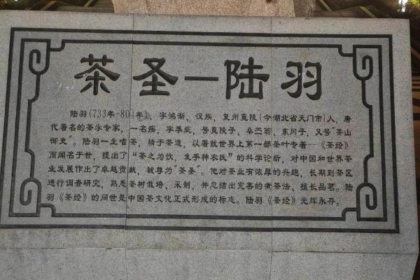 福建茶道：品茗之中感受传统与现代的交融