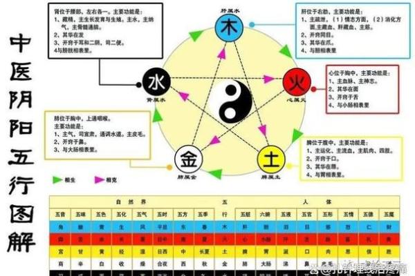 五行生克理论在现代生活中的应用与影响