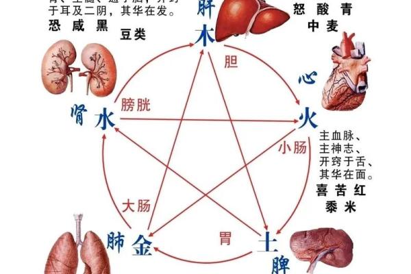 五行生克理论在现代生活中的应用与影响