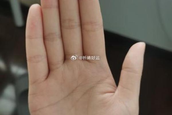 小指过三关手相解析：揭示隐藏的命运秘密