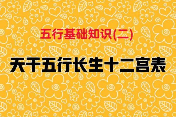 天干的数字影响力：从五行到命运解析