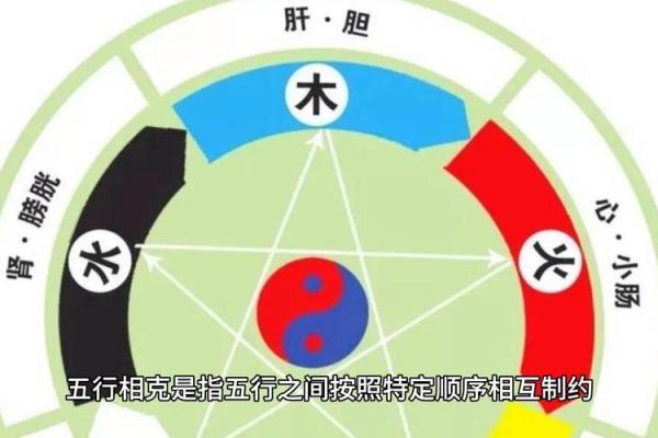 五行相生顺序解析与应用指南