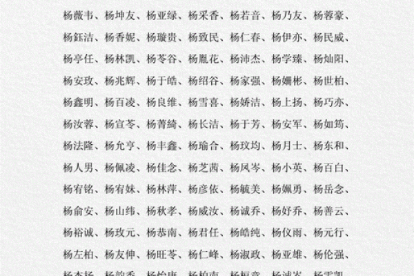 名字打分系统解析：测量名字的独特性和适合度