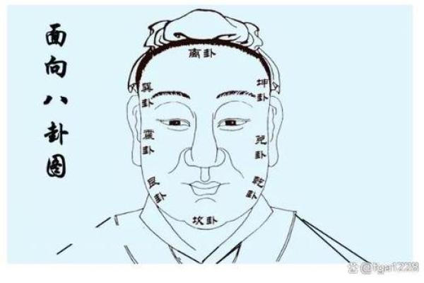 鹰钩鼻男人面相解析：性格与命运的深刻关系