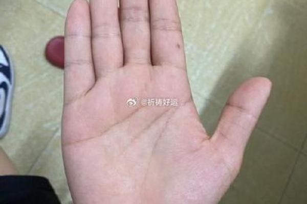 想知道未来吗？免费手相测试带你揭开神秘面纱