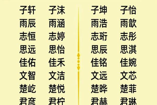 免费获取新生儿名字创意，打造专属宝宝名