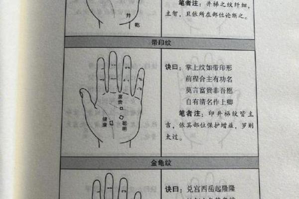 手相入门指南：解读五大主线掌纹的奥秘