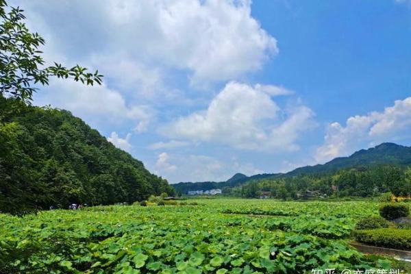 刘伯温风水智慧：打造招财宝地的五大要点