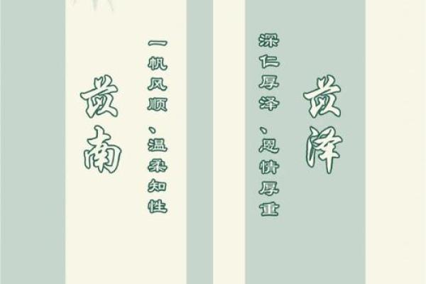 泽字取名寓意解析：蕴含深远的吉祥与智慧