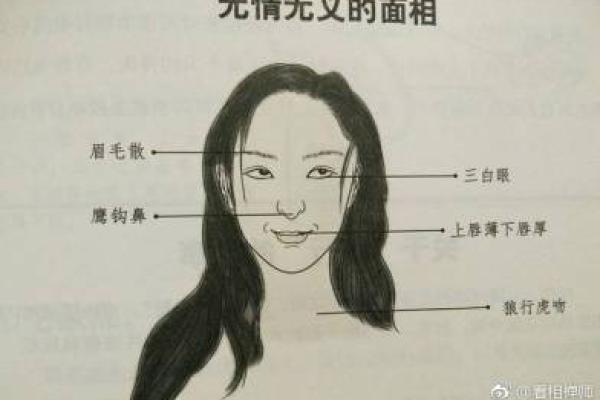 深入了解女人面相：如何通过面相判断婚姻与事业运