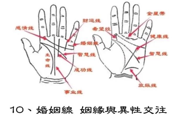 探索手相术：手掌纹理背后的心理与命运密码