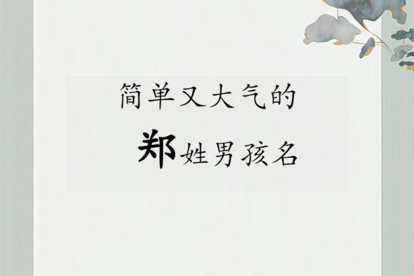 郑姓男孩取名指南：寓意深远的名字推荐与选择技巧