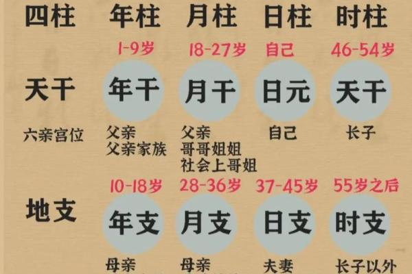 生辰八字解析：命运与历史的深刻联系