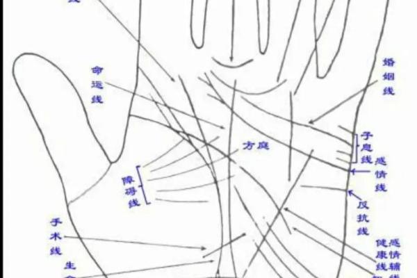 揭秘手相解析：如何通过手纹洞察人生轨迹